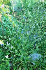 DSCF9485 (2).webp