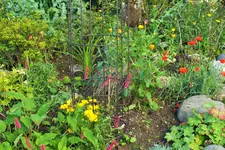 DSCF9500 (2).webp