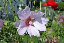 DSCF9473 (2).webp