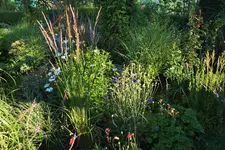 DSCF9483 (2).webp
