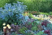 DSCF9508 (2).webp