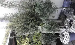 20170420_084405.webp