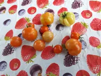 20170717_163940.webp