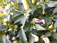 20170717_180327.webp