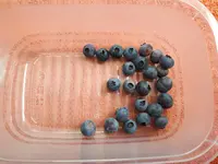 20170717_171220.webp