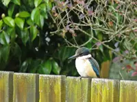 IMG_8696v (2).webp