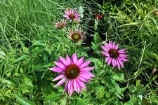 DSCF9462 (2).webp