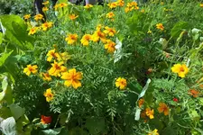 DSCF9479 (2).webp