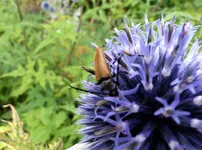 P1000330.webp