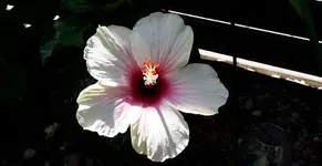 20170709_115159.webp