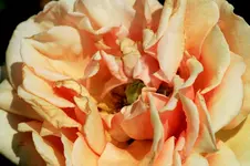 IMG_3324.webp