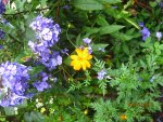 IMG_8511.JPG