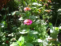 IMG_8520.webp