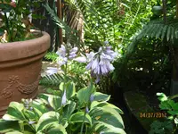 IMG_8521.webp
