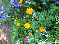 IMG_8535.webp