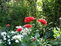 IMG_8372.webp