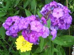 IMG_8413.JPG