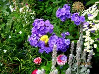 IMG_8485.webp