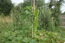 DSC08900.webp