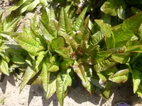 P1020867.webp P1020867.webp