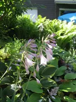 006_600x800.webp