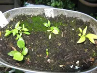 009_1067x800.webp