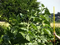 DSC01130.webp