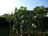 DSC01133.webp
