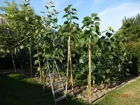 DSC01134.webp