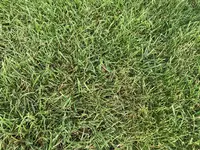 IMG_1816.webp