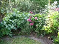 IMG_5632.webp