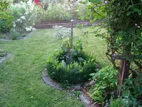IMG_5639.webp