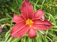 BILD7546.webp