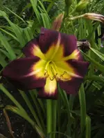 BILD7550.webp
