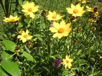 BILD7491.webp