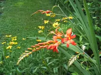 BILD7501.webp
