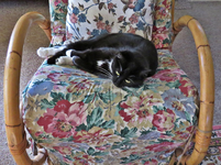 IMG_8392v (2).webp