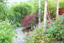 DSCF9556 (2).JPG