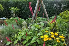 DSCF9560 (2).webp