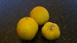 20170718_184530.jpg