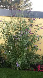 20170718_200313.jpg