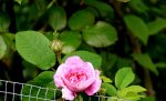 IMG_2214.JPG