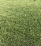 IMG_9329.jpg