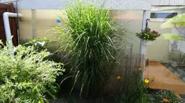 DSC07535.webp