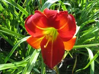 abex_1024x768.webp