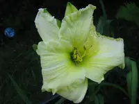 esp_1024x768.webp
