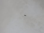 20170719_161528.jpg