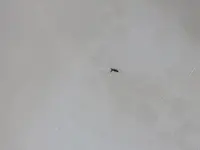 20170719_161528.webp