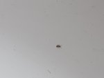 20170719_161455.jpg