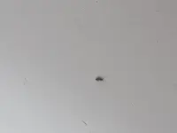 20170719_161455.webp